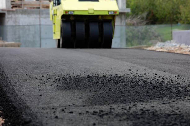 Best Driveway Pavers Near Me  in Stockton University, NJ