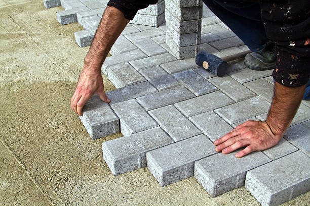 Best Local Driveway Pavers  in Stockton University, NJ